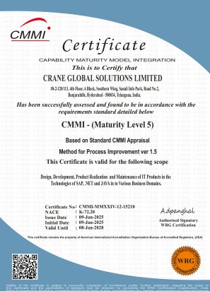 CMMI 5 - CRANE GLOBAL SOLUTIONS_page-0001